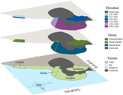 Biodegraders of Large Woody Debris Across a Tidal Gradient in an Indonesian Mangrove Ecosystem
